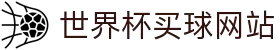 2026世界杯博彩平台 - 高赔率与深度分析 | World Cup